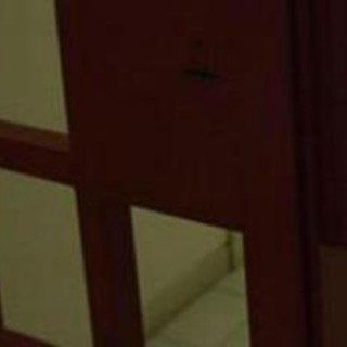 Bologna, due giovani evadono da Istituto penale per minorenni Bologna, due giovani evadono da Istituto penale per minorenni