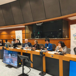 Lavoro domestico, oltre 10 milioni di lavoratori in Ue