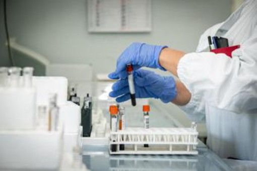 Echinococcosi alveolare, in Europa 4.200 casi: cos'è e da cosa deriva