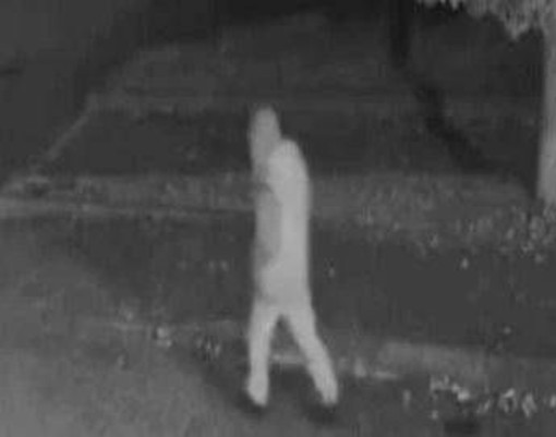 Fermato Elia Del Grande, era alla guida di un'auto rubata Fermato Elia Del Grande, era alla guida di un'auto rubata