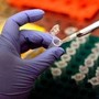 Morbillo, Pennsylvania segnala sesto morto: 39enne con patologie e già infettata di recente Morbillo, Pennsylvania segnala sesto morto: 39enne con patologie e già infettata di recente