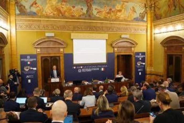 Commercio, Federdistribuzione: "Consumi fuori casa e cucina, valore per Made in Italy" Commercio, Federdistribuzione: "Consumi fuori casa e cucina, valore per Made in Italy"
