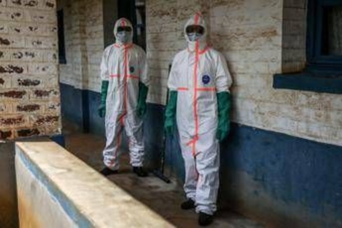 Ebola, Oms: "L'epidemia è estremamente grave e difficile". In Congo oltre 900 casi sospetti Ebola, Oms: "L'epidemia è estremamente grave e difficile". In Congo oltre 900 casi sospetti