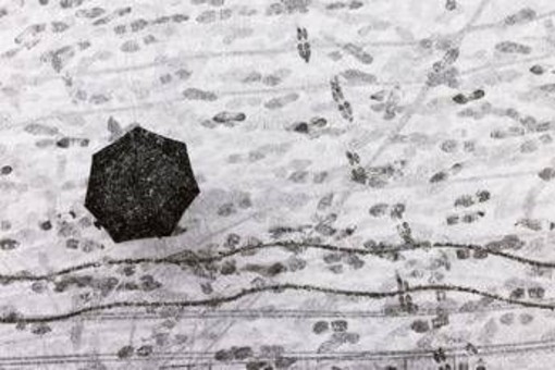 Dal freddo artico al tempestoso Maestrale: brusca svolta meteo sull'Italia Dal freddo artico al tempestoso Maestrale: brusca svolta meteo sull'Italia