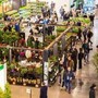 A Milano Rho la vetrina del florovivaismo, in Italia produzioni record a 3,25 miliardi
