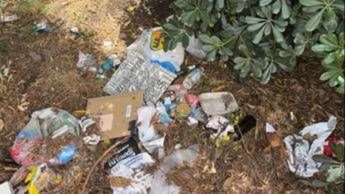Roma, aiuole e marciapiedi nel degrado intorno alla Nuvola: all’Eur cittadini costretti a camminare fra le auto Roma, aiuole e marciapiedi nel degrado intorno alla Nuvola: all’Eur cittadini costretti a camminare fra le auto