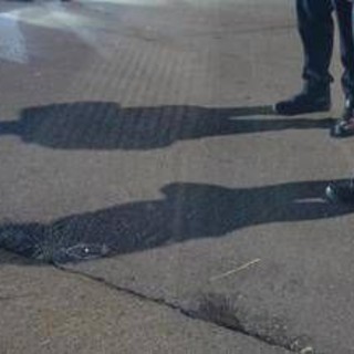 Sedicenne ucciso a Capizzi, mercoledì i tre fermati davanti al gip per la convalida Sedicenne ucciso a Capizzi, mercoledì i tre fermati davanti al gip per la convalida