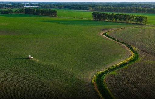 Portavoce Cina, pronti a facilitare commercio agricolo bilaterale con Usa Portavoce Cina, pronti a facilitare commercio agricolo bilaterale con Usa