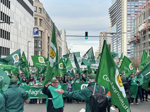 L’agricoltura protesta a Bruxelles, Giansanti “Asset strategico per l’Europa” L’agricoltura protesta a Bruxelles, Giansanti “Asset strategico per l’Europa”