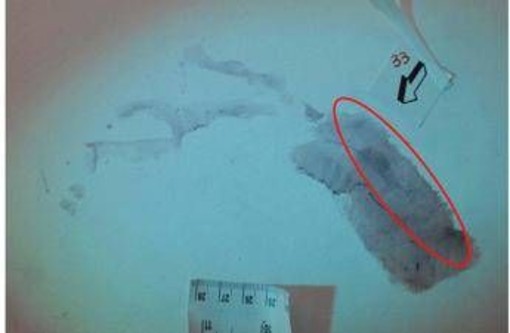 Caso Garlasco, procura mette la parola fine su impronta 33: non c'è sangue