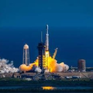 Il segreto per i viaggi nello spazio? I funghi di Chernobyl: la scoperta Il segreto per i viaggi nello spazio? I funghi di Chernobyl: la scoperta