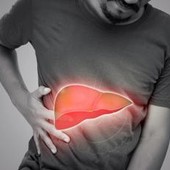 Steatosi epatica per 25% italiani, studio ‘integratore con alghe utile in 50% casi’ Steatosi epatica per 25% italiani, studio ‘integratore con alghe utile in 50% casi’