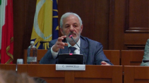 Parità di genere, Iannicelli: "Non possiamo permetterci di lasciare talenti inespressi" Parità di genere, Iannicelli: "Non possiamo permetterci di lasciare talenti inespressi"