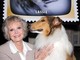 Morta June Lockhart, la mamma star di 'Lassie' aveva 100 anni
