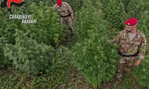 Blitz antidroga in Sardegna, 21 misure cautelari