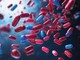 Farmaci, riduzione significativa del colesterolo cattivo con nuovo inibitore orale di Pcsk9