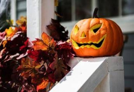 Zucca e semi di zucca: il lato sorprendente (e sano) di Halloween Zucca e semi di zucca: il lato sorprendente (e sano) di Halloween