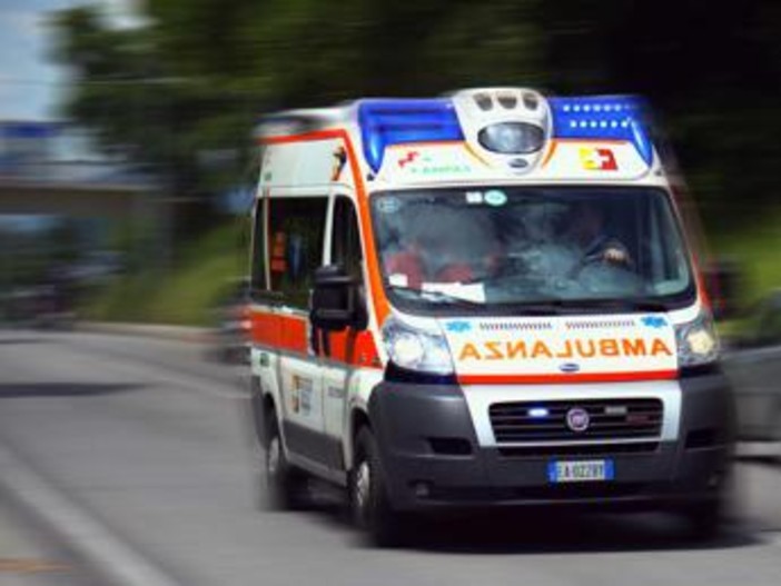 Furgone con braccianti a bordo si ribalta nel Foggiano, un morto e 7 feriti Furgone con braccianti a bordo si ribalta nel Foggiano, un morto e 7 feriti