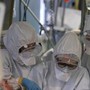 Virus Shamonda, "no casi umani in Italia, attenzione rafforzata": la circolare del ministero dell a Salute