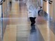 Sanità e liste d'attesa, sei italiani su dieci hanno dovuto rinunciare almeno a un esame