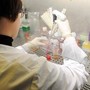 Esofagite eosinofila, risultati positivi per tezepelumab in fase 3 Esofagite eosinofila, risultati positivi per tezepelumab in fase 3