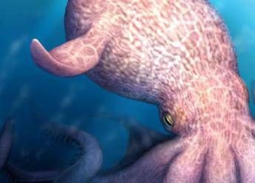 Il Kraken è esistito e dominava gli oceani, la scoperta sul 'mostro dei mari' Il Kraken è esistito e dominava gli oceani, la scoperta sul 'mostro dei mari'