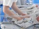 Neonati morti in ospedale a Bolzano, batterio killer nel dispenser per lavare i biberon