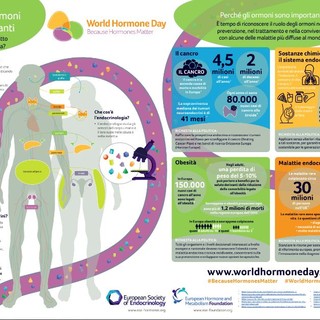 World Hormone Day, AME accende i riflettori sugli interferenti endocrini