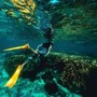 Italiani morti alle Maldive durante immersione, lo pneumologo: "Con concentrazioni elevate l’ossigeno diventa tossico" Italiani morti alle Maldive durante immersione, lo pneumologo: "Con concentrazioni elevate l’ossigeno diventa tossico"